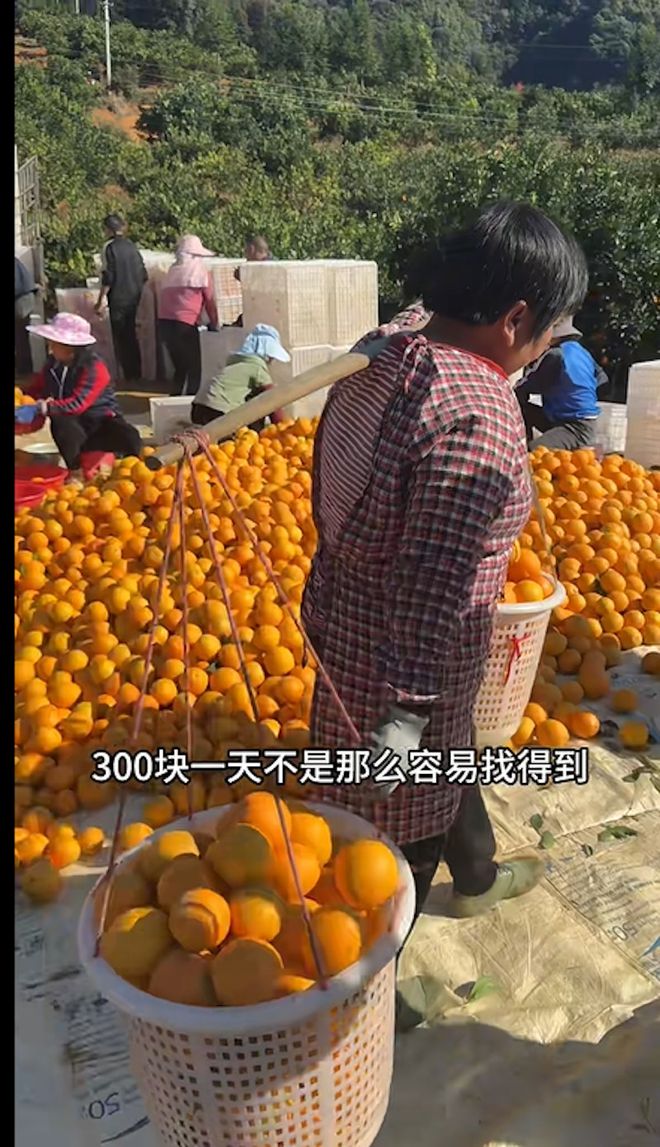 京籍無房戶租住西城 子女可全區派位