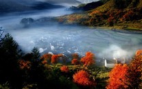 四川瀘山森林火災(zāi)后 西昌調(diào)派大巴轉(zhuǎn)運(yùn)周邊居民
