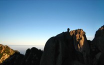 藝術(shù)圈下一季流行什么“水果”