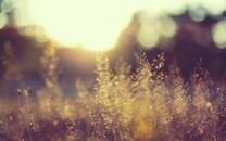 巧克力對身體5大好處！提高記憶、增強免疫，孩子多大可以吃？怎么吃？