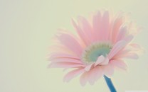 想看看未來(lái)的機(jī)場(chǎng)長(zhǎng)什么樣？網(wǎng)友：趕緊去中國(guó)吧