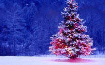 騰訊公布2018年第二季度及中期業績