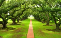 通州今年再提升41條背街小巷顏值 5月開工