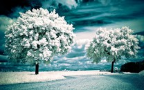 【控煙FM】“三方聯(lián)動”，向控煙難點主動出擊！
