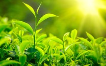 沉痛哀悼！犧牲英雄名單公布