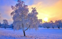 “重量級(jí)”人物爆料：病毒并非來自中方！蓬佩奧當(dāng)場發(fā)火