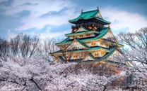 邪王盛寵：神醫嫡女囂張妃