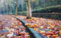宏嘉麗園居滿(mǎn)5唯1有車(chē)位