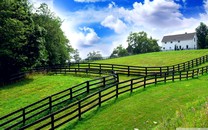 VIP4.3不怕賊惦記吳剛張馨予大漠奪金礦嘉賓：吳剛 張馨予 應采兒