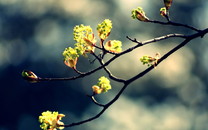 云直播：馬光遠(yuǎn)——疫情過后 房價怎么走