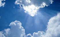 現(xiàn)身挪威海域的神秘白鯨是俄羅斯“間諜”？