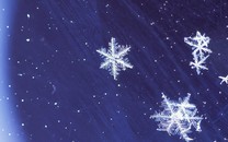 女主播直播暴雨 渾身濕透