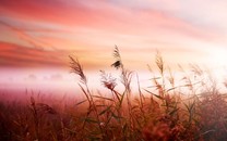 寡姐嘲諷綠巨人膽小如鼠 驚奇隊(duì)長(zhǎng)憶初吻經(jīng)歷