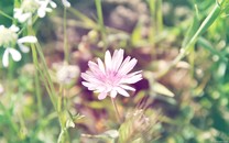 那個曾“花哨”的發微信紅包拉股價的聯建光電，如今譽暴雷30億！