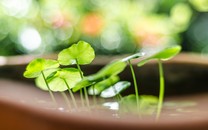 高考延期至7月：安全第一