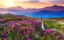 超3000個特效鏡頭，《復(fù)聯(lián)4》是怎么在短時間內(nèi)完成的？