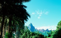 五一帶著寵物去旅行 羨慕死動(dòng)物界旅游達(dá)人