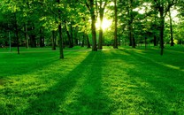 前方圓桌：勇士表現(xiàn)糟糕靠運(yùn)氣贏球 聯(lián)盟應(yīng)制定判罰標(biāo)準(zhǔn)