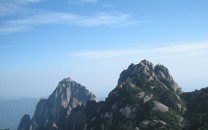 新生象寶寶 個(gè)頭小小萌萌噠
