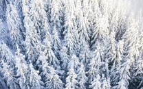 跑得了扇貝跑不了債！這家公司今年有25億借款要還