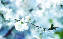 中紀(jì)委機(jī)關(guān)刊談受處分處理的干部:不能一棒子打死