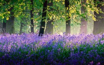 4月二手住宅網簽環比跌