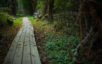 經(jīng)典回憶殺：國足5-4伊朗 劉云飛撲致命點(diǎn)球 晉級亞洲杯決賽