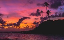庫里庫班參與慈善募捐活動 捐私人物品幫忙籌款對抗疫情