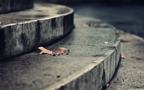 喬治:我愛LA 喜歡和LBJ一起打球