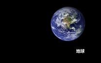職場女性愛情事業辛酸史