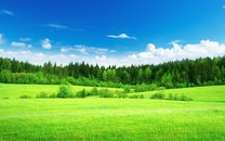 紐約曾經(jīng)自豪的醫(yī)療系統(tǒng) 在洶涌的疫情下岌岌可危
