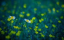 地方紓困樓市拉鋸戰：一月內4地樓市政策一日游