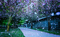 《桃花源記》中的歷史密碼