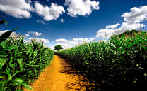 我在阿里學(xué)到的運(yùn)營36課