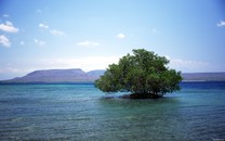 如果你拒絕堅(jiān)持跑步 或?qū)㈠e(cuò)失這8大益處