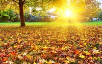 八天七夜 重慶網(wǎng)紅地圖請(qǐng)收下