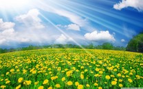 聯(lián)想確認為羅永浩直播帶貨首批合作者 將主打網(wǎng)課平板M 10 PLUS