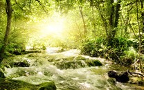 在美國(guó)囤槍是門(mén)學(xué)問(wèn)！槍界大佬教華人挑選護(hù)家槍支