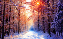;attr:name;maxlen:4;sign:#2c01;