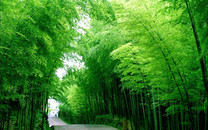 中年大叔發(fā)薪日豪攬3351萬(wàn):只想好好休個(gè)假-圖