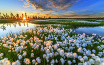 4月份，感情運勢上升的星座，桃花纏身，舊愛歸來，有望重溫舊夢