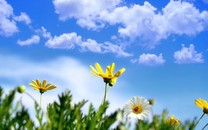 總書(shū)記最關(guān)心矛盾問(wèn)題能不能化解