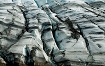 湖北鄂州糧油搶購一人搶10袋米？官方：庫存夠3個月