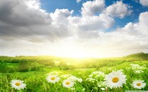 恩比德：我的確帶傷打球 但我需要更多出場(chǎng)時(shí)間