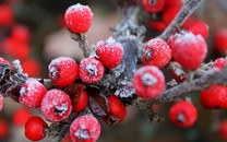 華為回應(yīng)美擬限制芯片供應(yīng)鏈:希望全球產(chǎn)業(yè)鏈合作