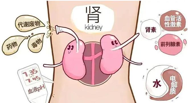 巴薩球員們的聲明：首先我們要澄清，一直以來我們的意愿就是接受