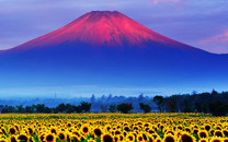4月28日，2019中超聯賽第七輪的比賽打響，北京中赫國安主場迎戰大