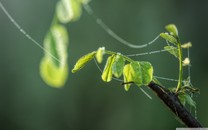 一份四月好喝奶茶報(bào)告