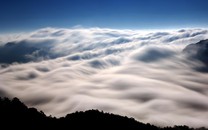 科爾:若復(fù)賽常規(guī)賽也不會(huì)打 惋惜那些命運(yùn)未定球隊(duì)