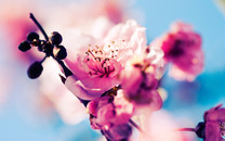一線 | 百度：崔珊珊全面負(fù)責(zé)人力資源，劉輝將于5月退休